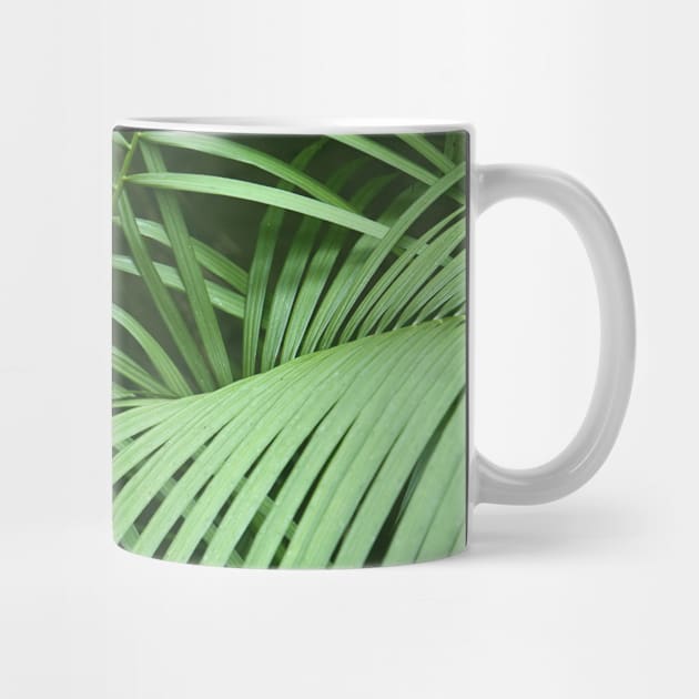 Palm Leaves by StylishPrinting